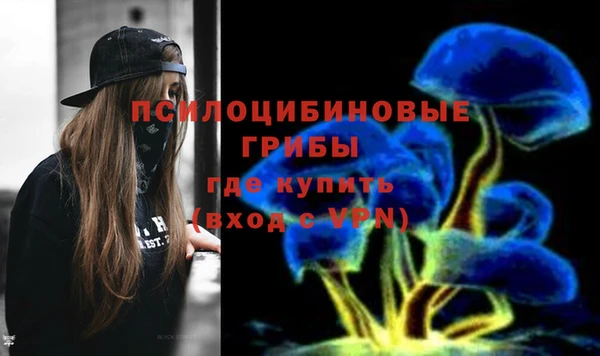 дживик Карпинск