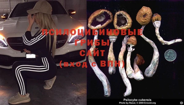 дживик Карпинск