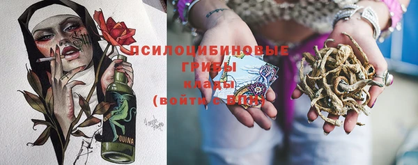 прущая мука Карталы