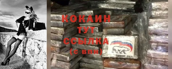 дживик Карпинск