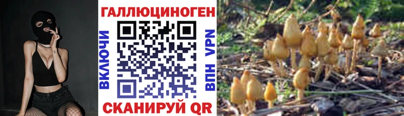 Псилоцибиновые грибы Psilocybine cubensis  Купить закладки  Кораблино 